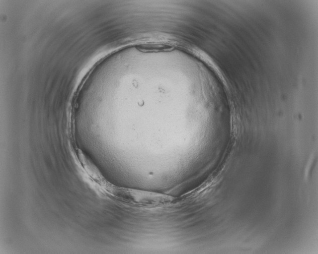 X0000053061099200508011907