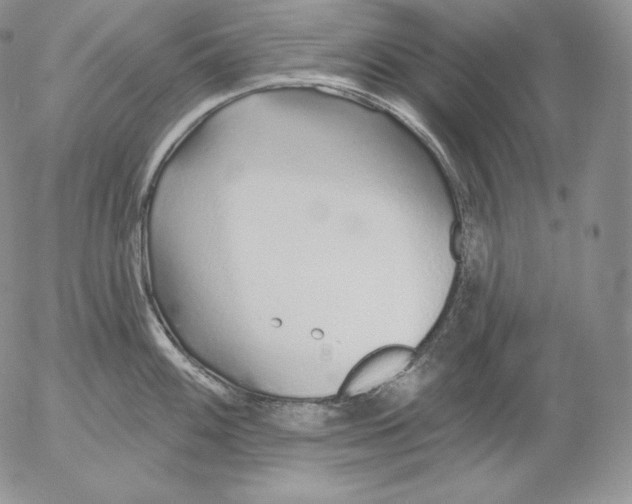 X0000053061100200508011907