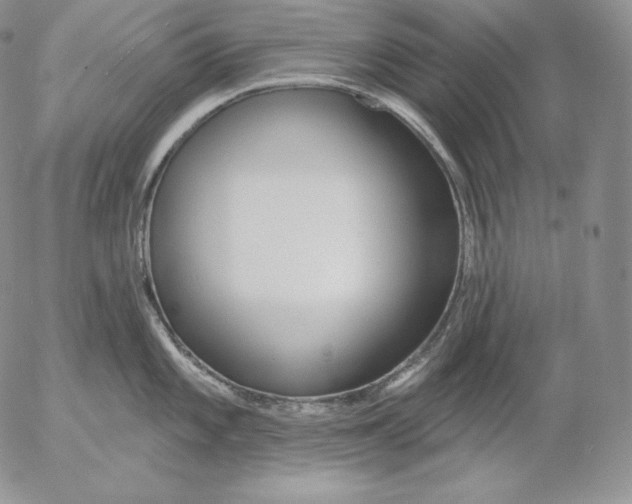 X0000053061101200508011907