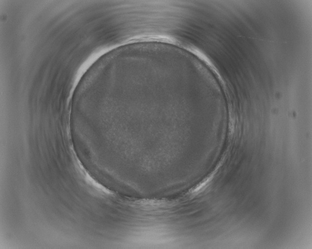 X0000053061102200508011907