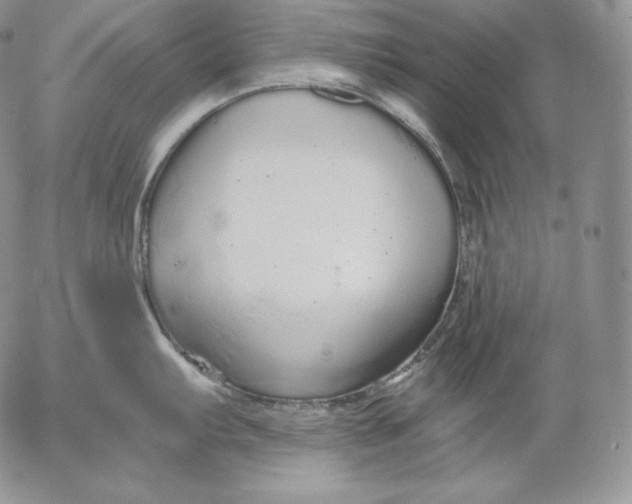 X0000053061103200508011907