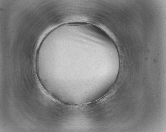 X0000053061104200508011907