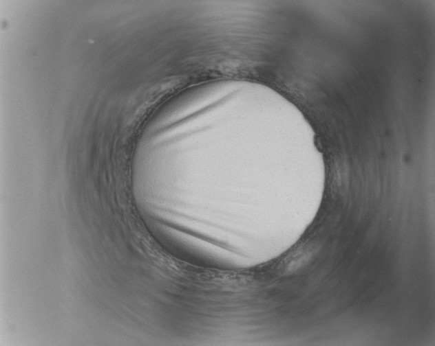 X0000053061105200508011906