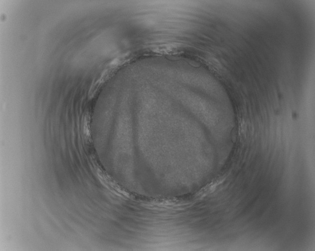 X0000053061106200508011906