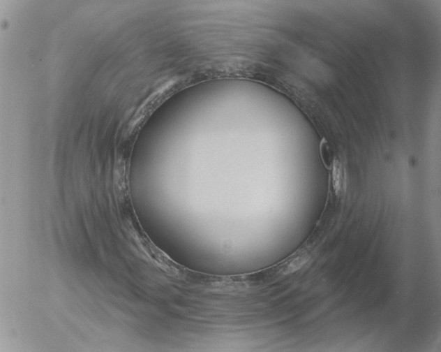 X0000053061107200508011906