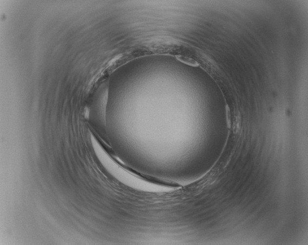 X0000053061108200508011907