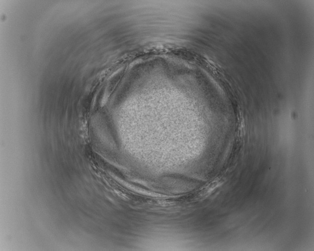 X0000053061109200508011907