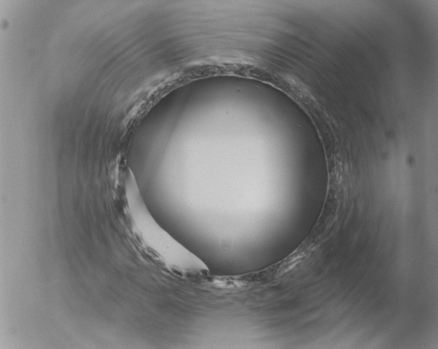 X0000053061110200508011907