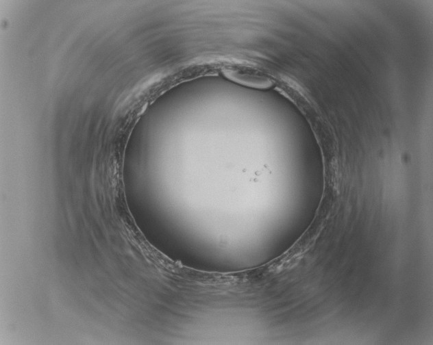 X0000053061111200508011907