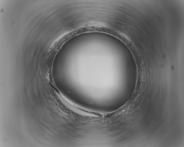 X0000053061112200508011907