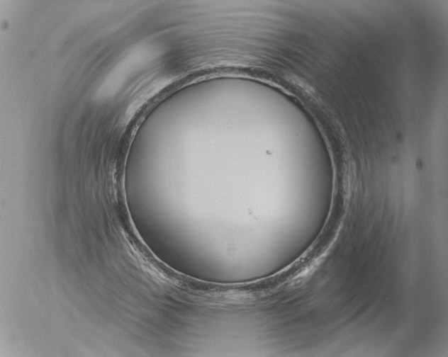 X0000053061113200508011907