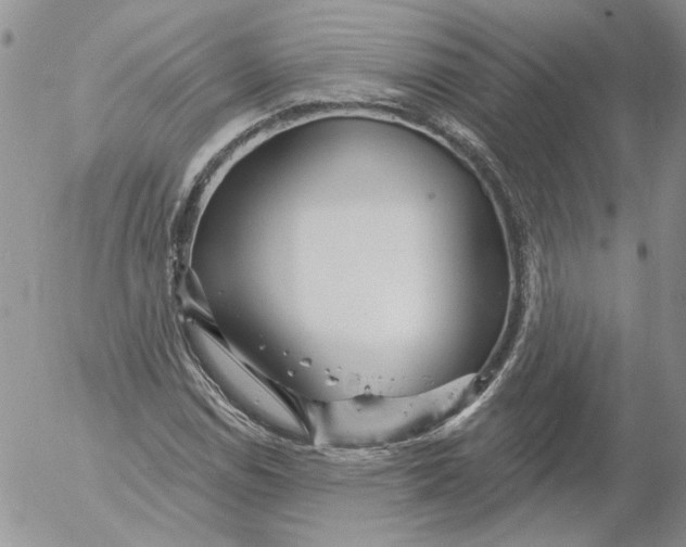 X0000053061114200508011907