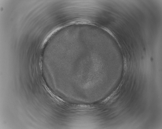 X0000053061115200508011907