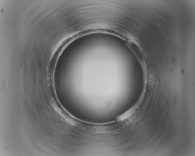 X0000053061116200508011907