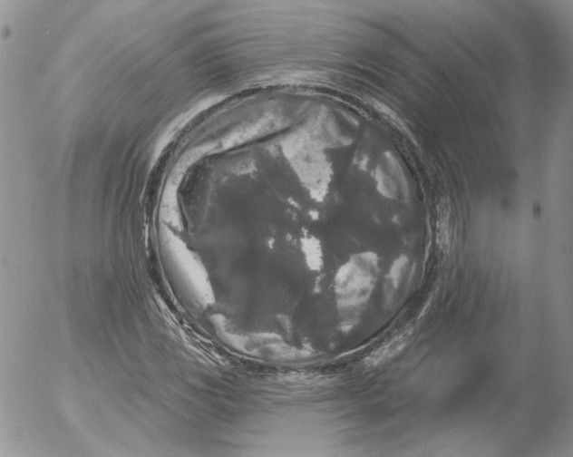 X0000053061117200508011907