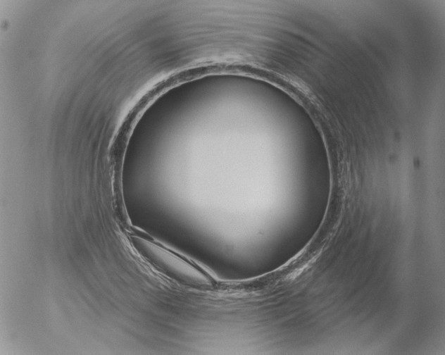 X0000053061118200508011907