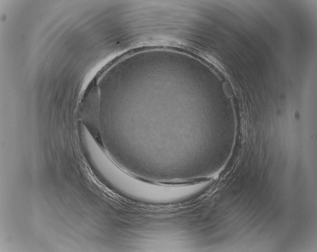 X0000053061120200508011907