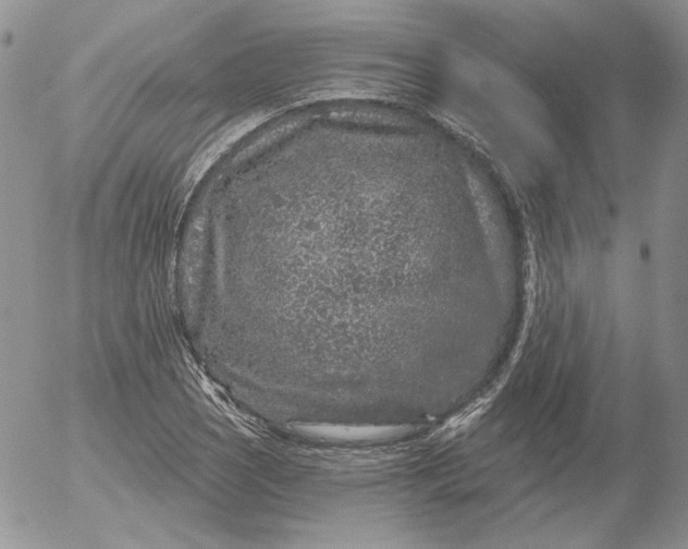 X0000053061121200508011907