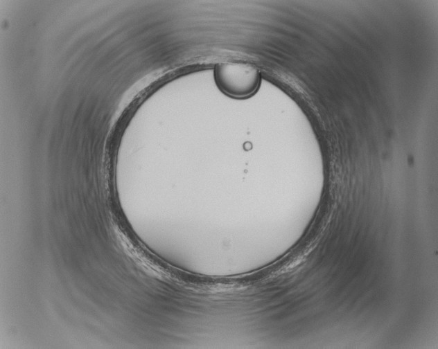 X0000053061122200508011907