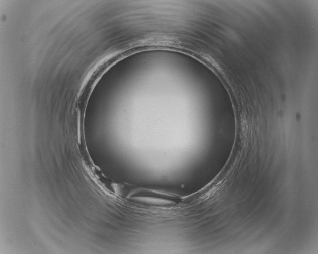 X0000053061123200508011907