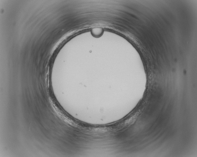 X0000053061126200508011907