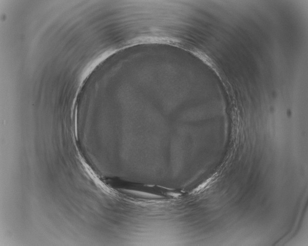 X0000053061127200508011907