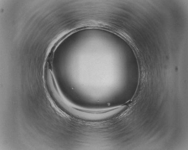 X0000053061128200508011907