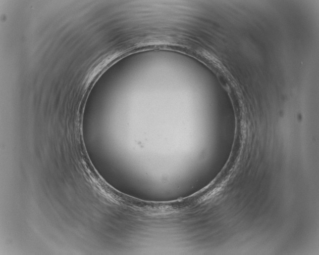 X0000053061129200508011907