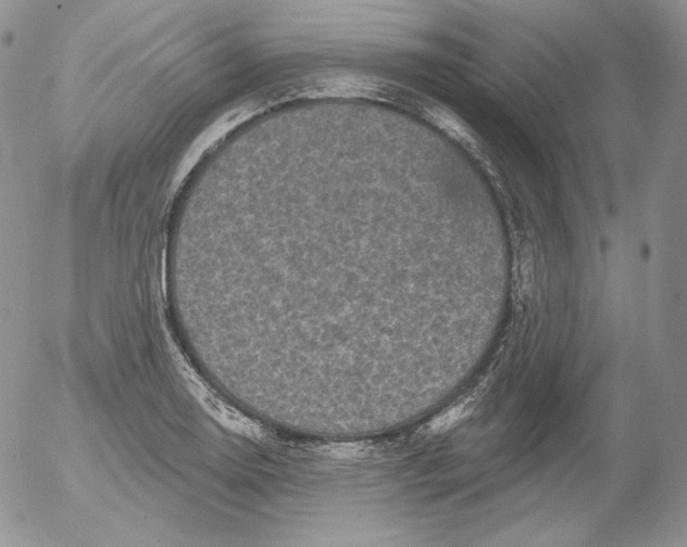 X0000053061130200508011907