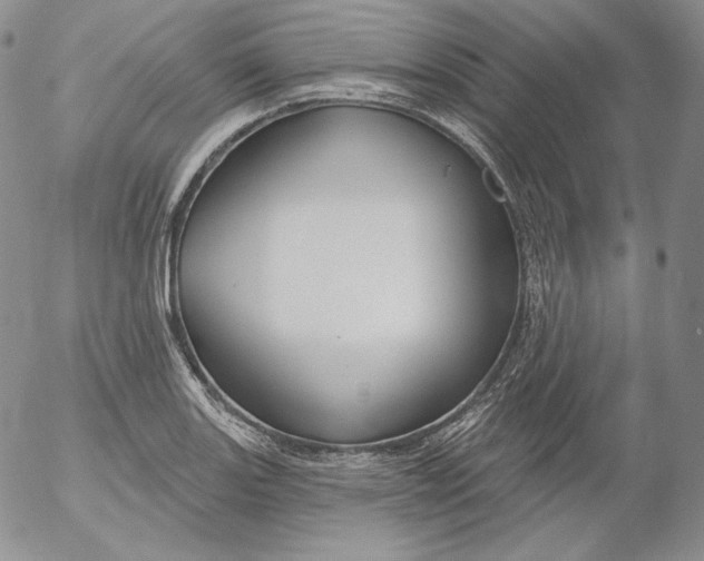 X0000053061131200508011907