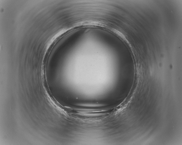 X0000053061133200508011907