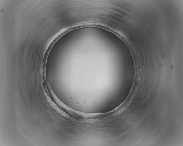 X0000053061134200508011907