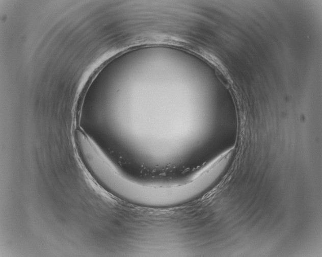 X0000053061136200508011907