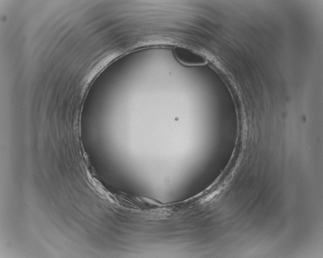 X0000053061137200508011907