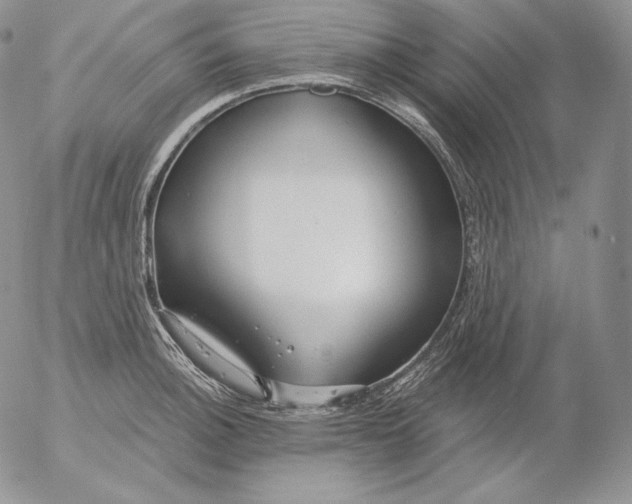 X0000053061140200508011907