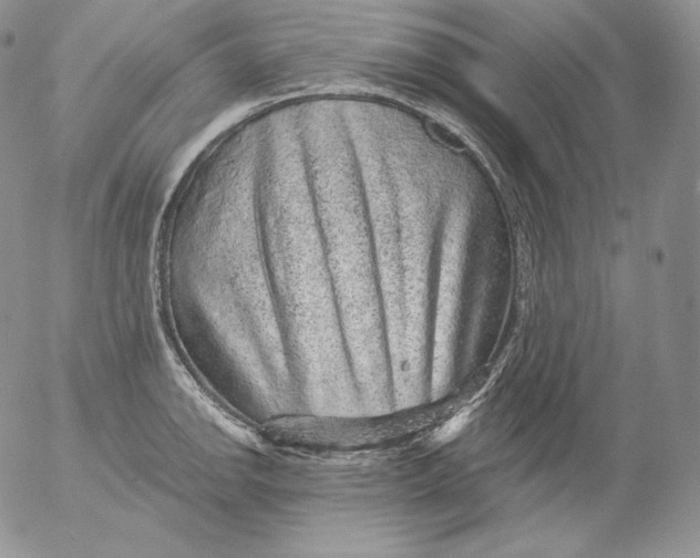 X0000053061142200508011907