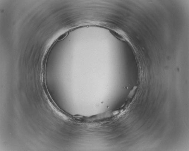 X0000053061143200508011907