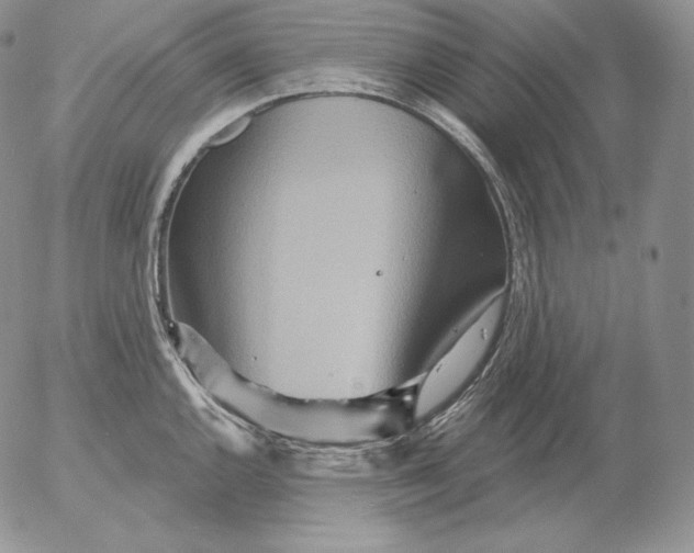 X0000053061144200508011907