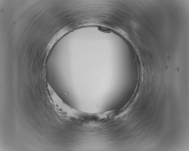 X0000053061145200508011907