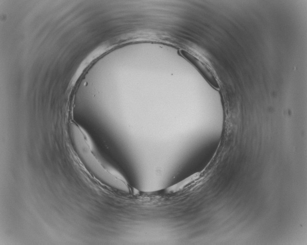 X0000053061146200508011907