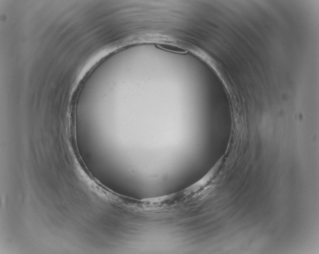 X0000053061147200508011907