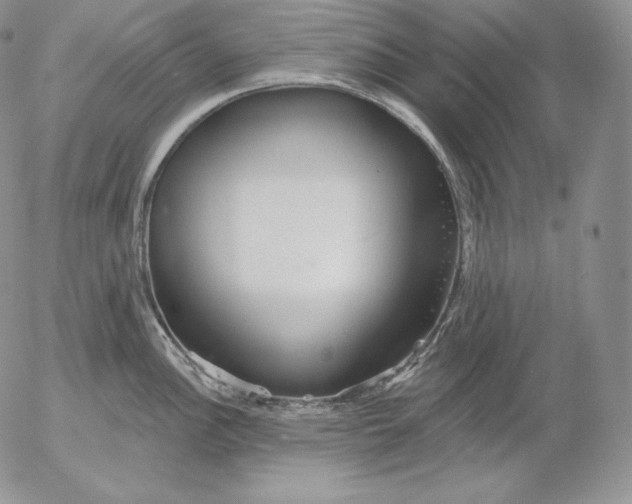 X0000053061148200508011907