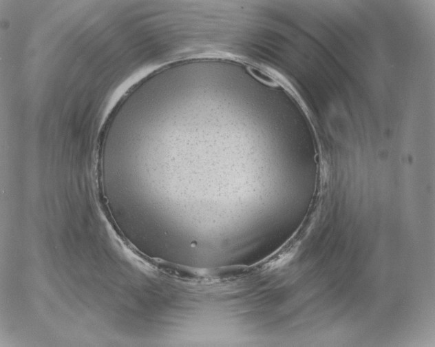 X0000053061149200508011907