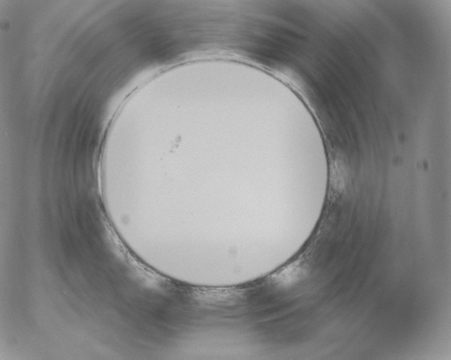 X0000053061150200508011907