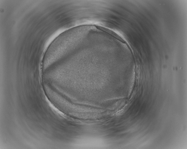 X0000053061151200508011907