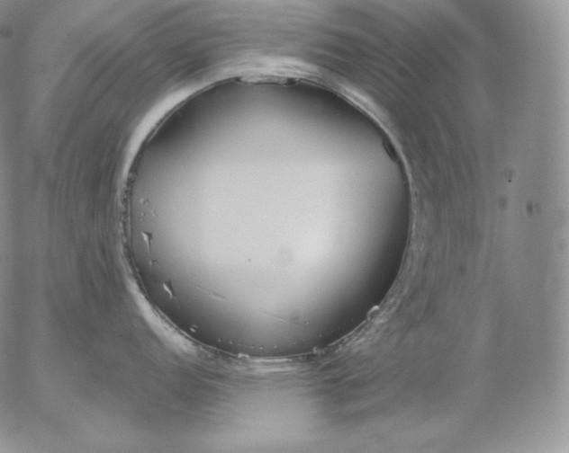 X0000053061152200508011907