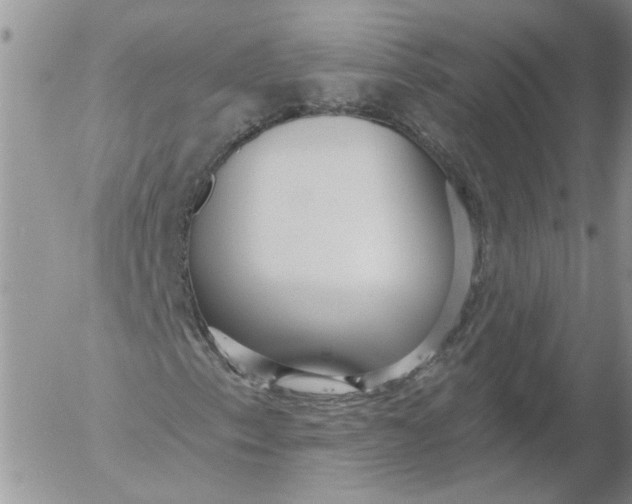 X0000053061153200508011906