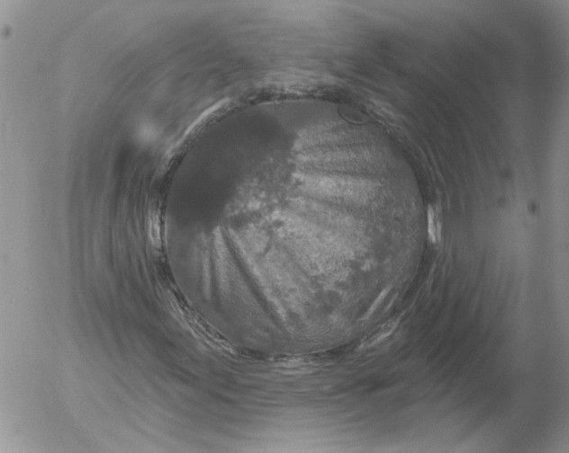 X0000053061155200508011906