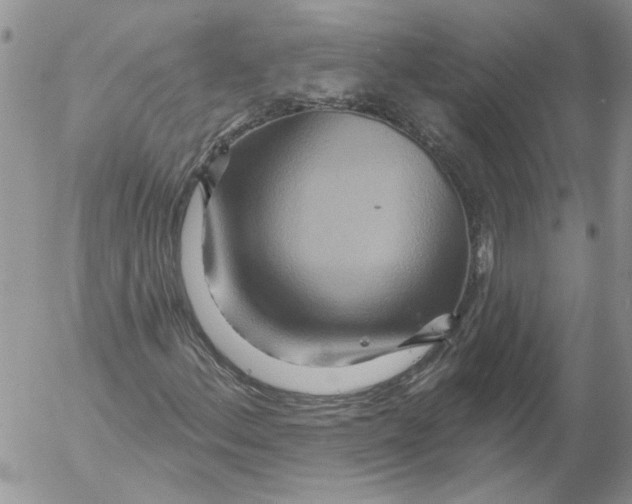 X0000053061156200508011906