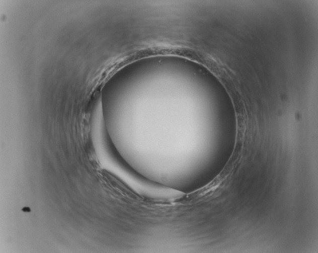 X0000053061157200508011906